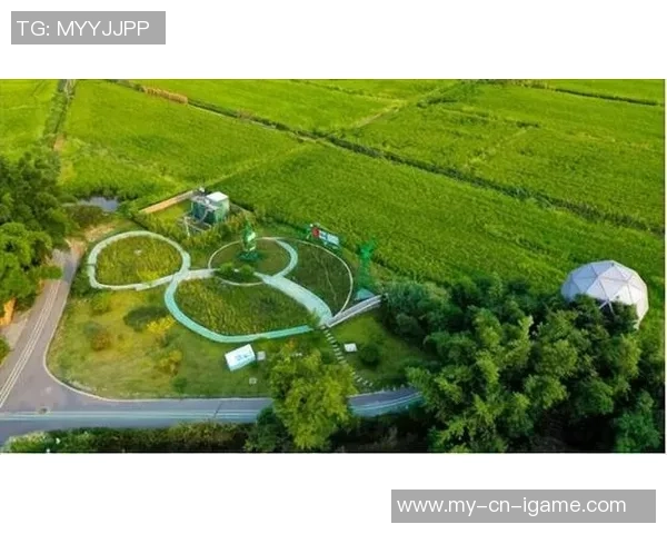 龙泉阳光城足球村打造绿色生态社区促进全民健身与乡村振兴新模式